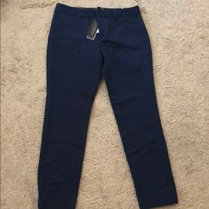 Banana Republic Navy Sloan Fit Slim Ankle Pants 2p